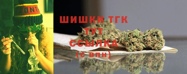 гидропоника Богородицк