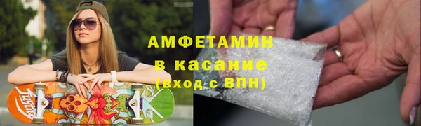 молекула духа Богданович