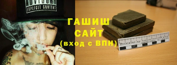 молекула духа Богданович