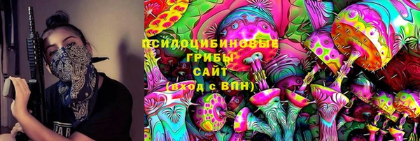 молекула духа Богданович