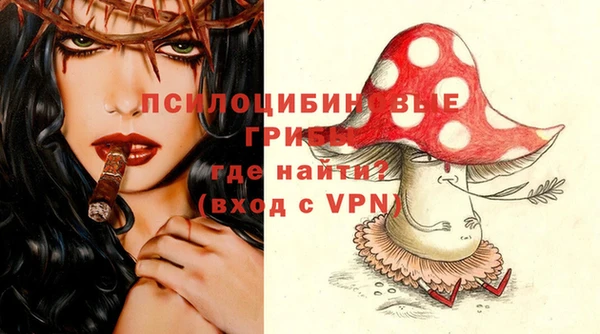 молекула духа Богданович