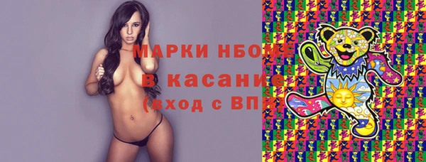 молекула духа Богданович