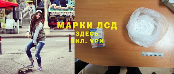 молекула духа Богданович