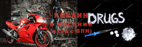 молекула духа Богданович