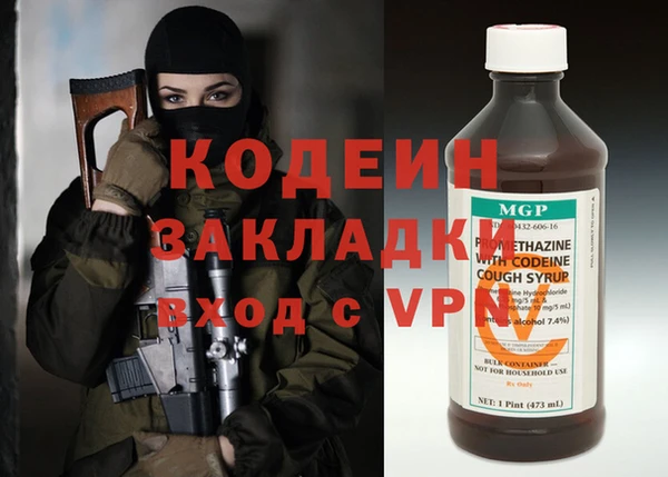 молекула духа Богданович