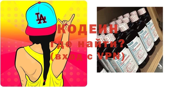 молекула духа Богданович