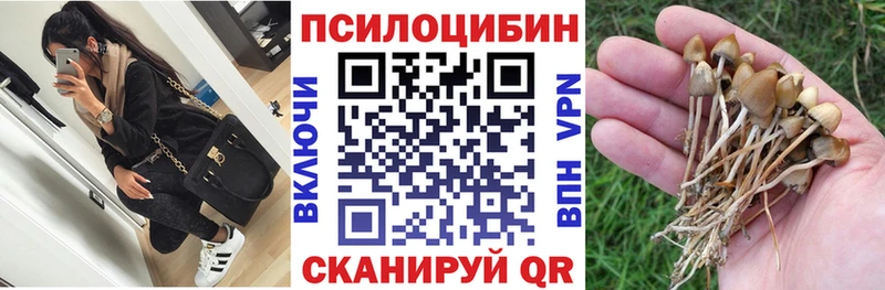 Псилоцибиновые грибы мухоморы  где купить наркоту  кракен ссылки  Шарья 